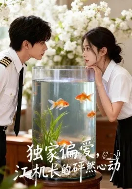 独家偏爱，江机长的砰然心动 恋心月下