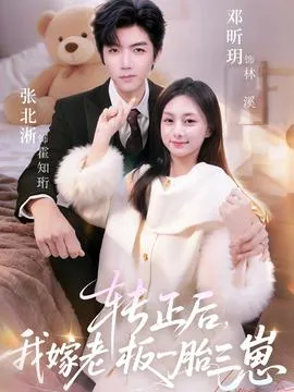 转正后我嫁老板一胎三崽