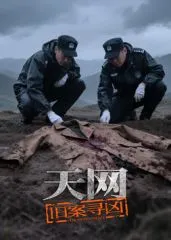 天网：旧案寻凶