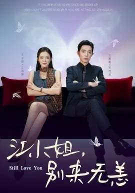 江小姐，别来无恙 分手五年，宋先生别纠缠