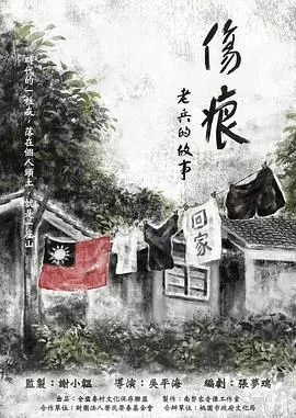 伤痕——老兵的故事