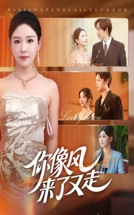 你像风来了又走