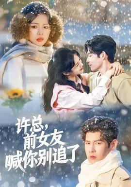 许总，前女友喊你别追了