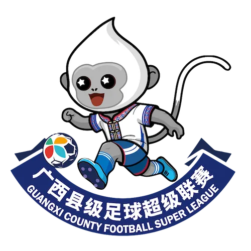 广西县超 河池市金城江区队4-1南宁市宾阳县20260411