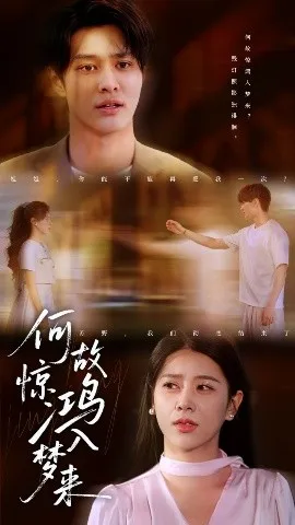 何故惊鸿入梦来