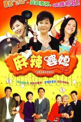 麻辣婆媳[电影解说]