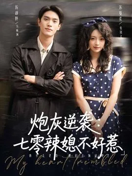 炮灰逆袭七零辣媳不好惹