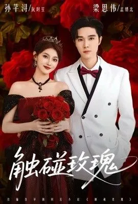 触碰玫瑰（凌晨四点半，玫瑰花未眠）