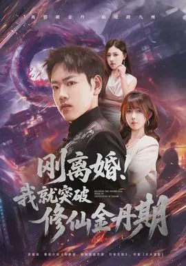 刚离婚！我就突破修仙金丹期