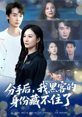 分手后，我黑客的身份藏不住了