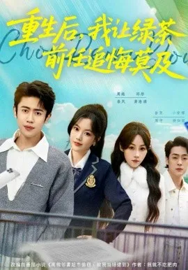 重生后，我让绿茶前任追悔莫及