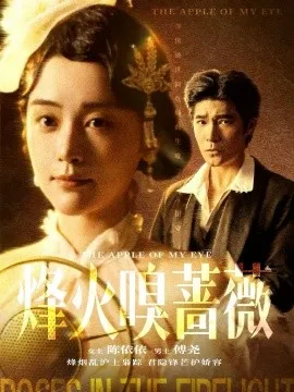 烽火嗅蔷薇 傅爷的心上宠