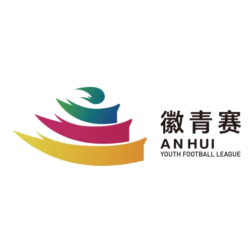 2026安徽省青少年足球联赛 淮北VS合肥20260328